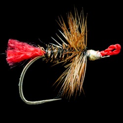 Get your Fly Noticed: Popping Hackles