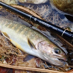 Tenkara & Fly Fishing: October Updates