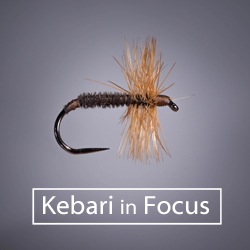 Kebari in Focus is Launched