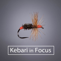 Fly Tying Patterns