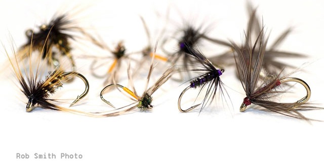 Trout Flies: What to Tie & Buy (Special Modern & Traditional Patterns)