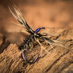 Tying my Favourite Fly: The Fly Tying Hut