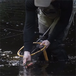 Tenkara Fly Fishing Video: TiF On-stream Episodes