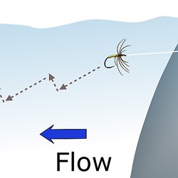 Why Should you use Engineering and Poetry to Present your Flies?