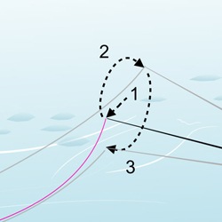 Dr Ishigaki Video: TUSA Summit (+analysis)