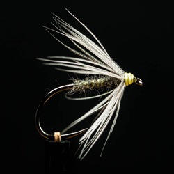 Tying and Fishing our 12 Secret Weapon Flies