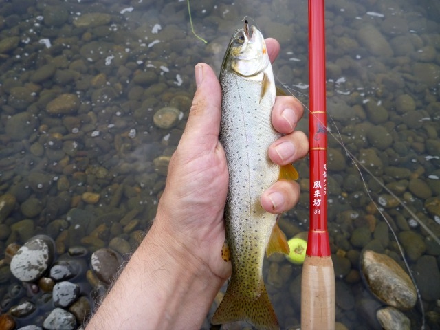 Zen' tenkara rod meant for big trout - Fly Life Magazine
