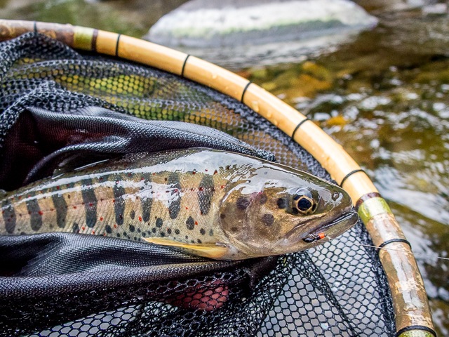 tenkara-fisher: Load, Send and Bend; A Look at the Evolution of