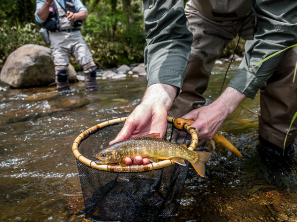  Tenkara Fishing Your Complete Guide to Everything